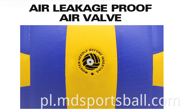 volleyball ball price